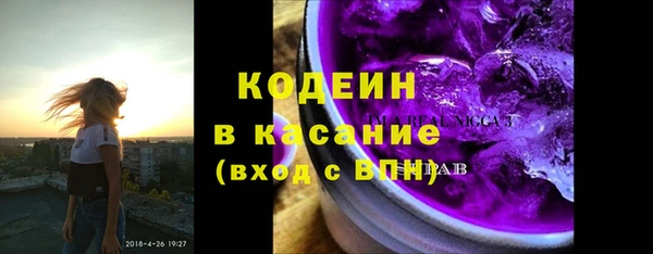 шишки Бородино