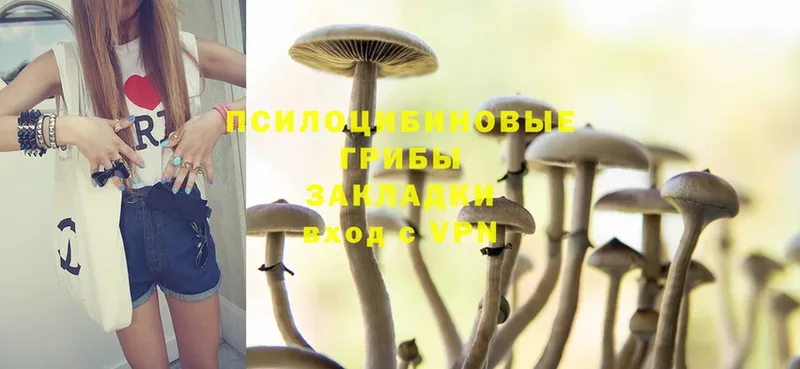 Псилоцибиновые грибы Cubensis  Давлеканово 