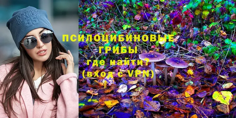 Галлюциногенные грибы Magic Shrooms Давлеканово